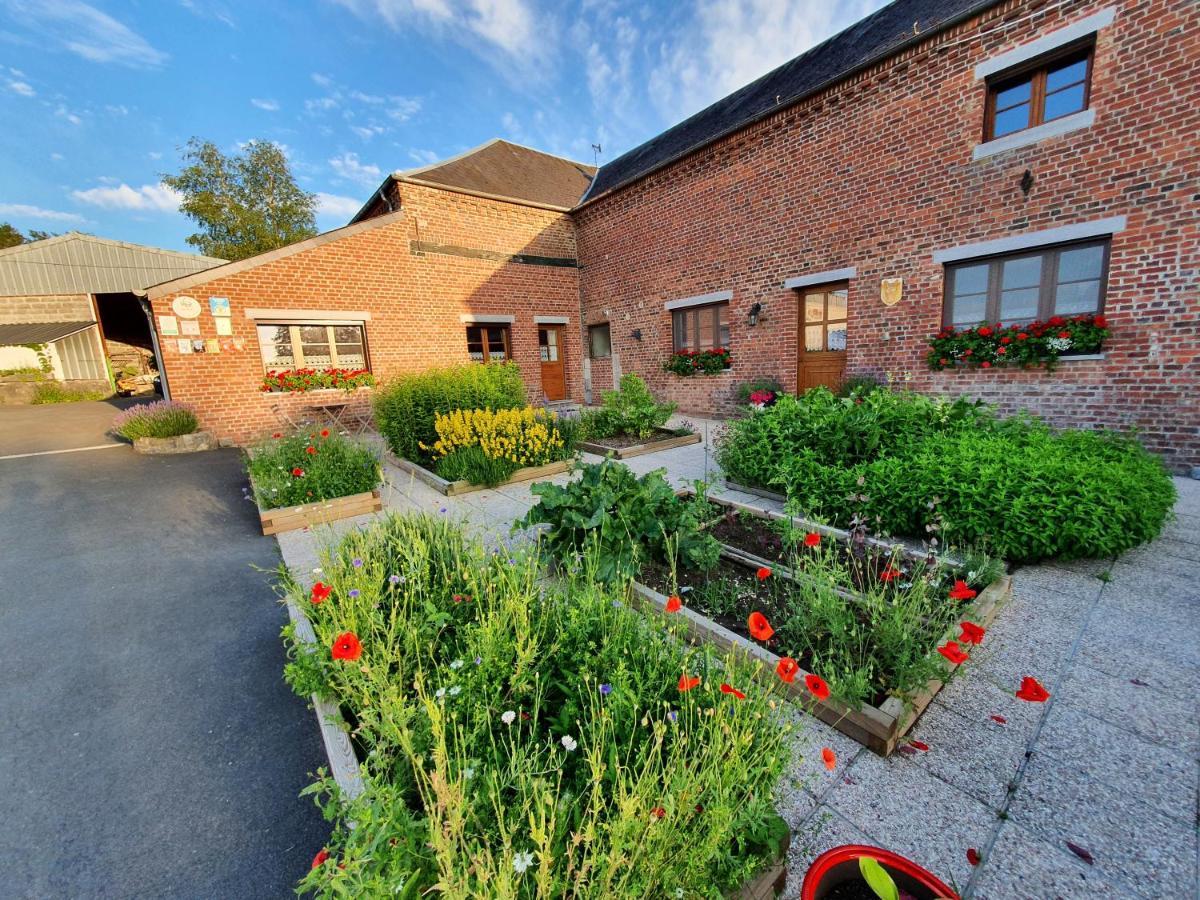 Bed and Breakfast Les Mout'Anes Saint-Hilaire-sur-Helpe Екстер'єр фото