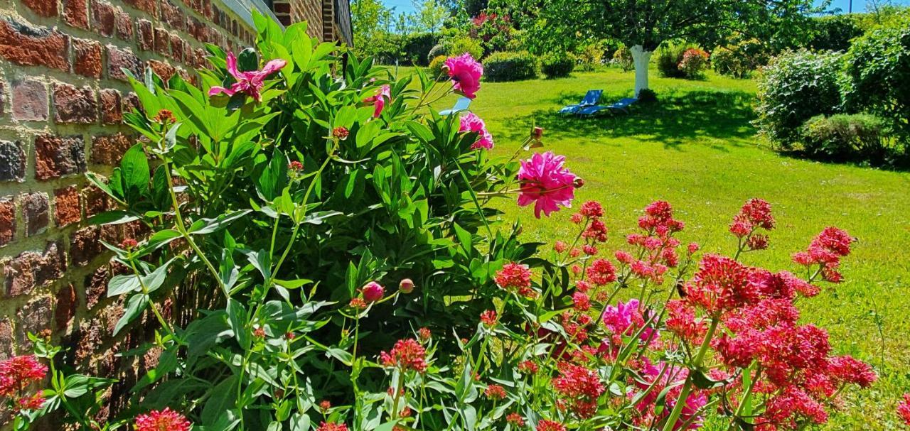 Bed and Breakfast Les Mout'Anes Saint-Hilaire-sur-Helpe Екстер'єр фото