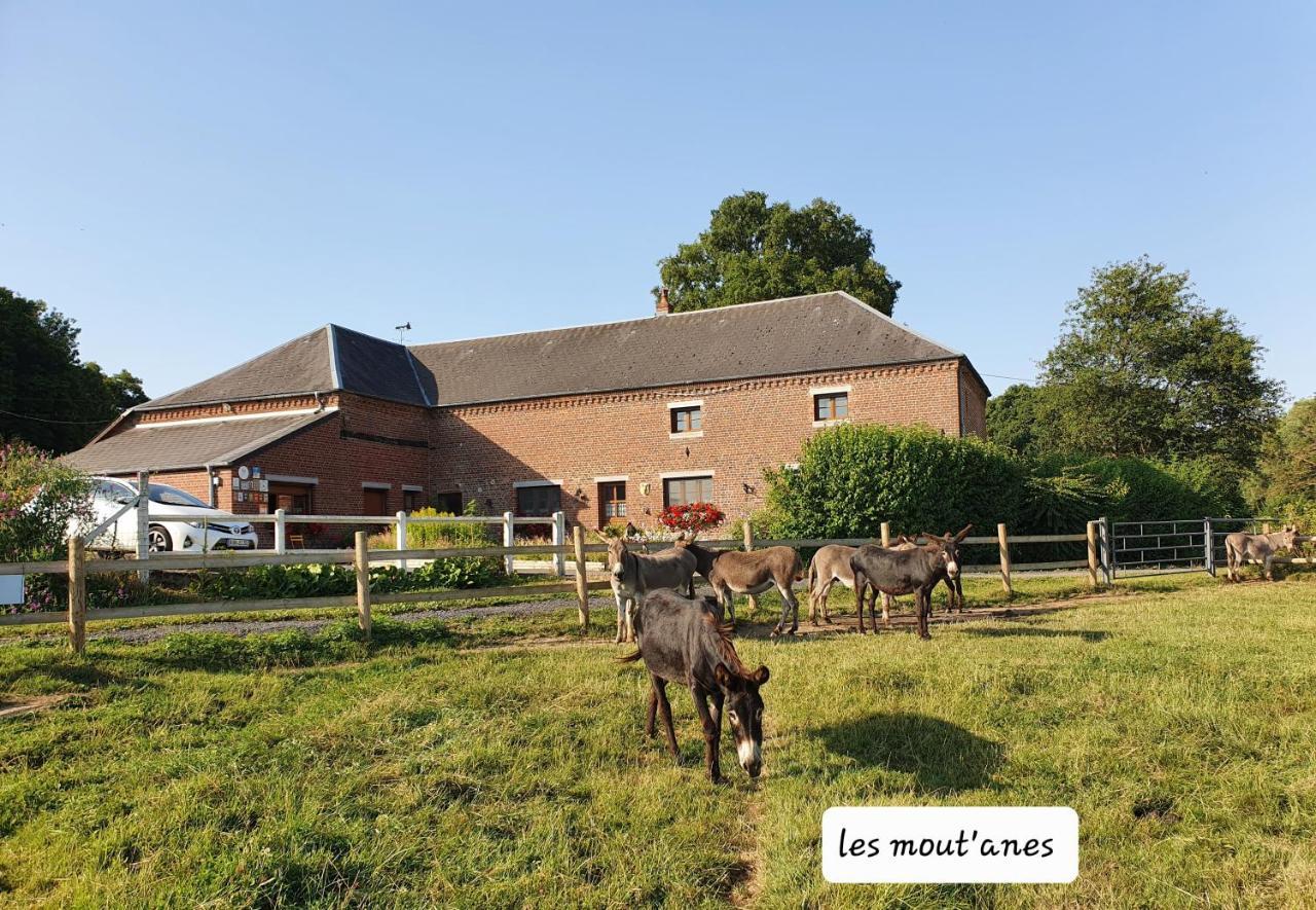 Bed and Breakfast Les Mout'Anes Saint-Hilaire-sur-Helpe Екстер'єр фото