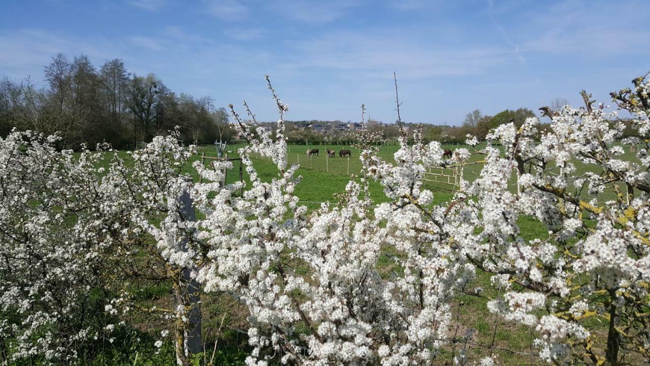 Bed and Breakfast Les Mout'Anes Saint-Hilaire-sur-Helpe Екстер'єр фото